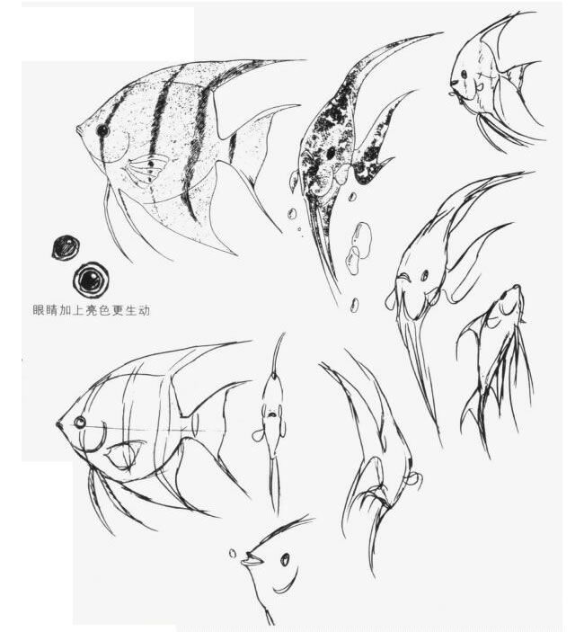 熱帶魚卡通畫畫法步驟