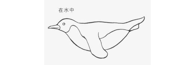 在水中的企鵝卡通畫法