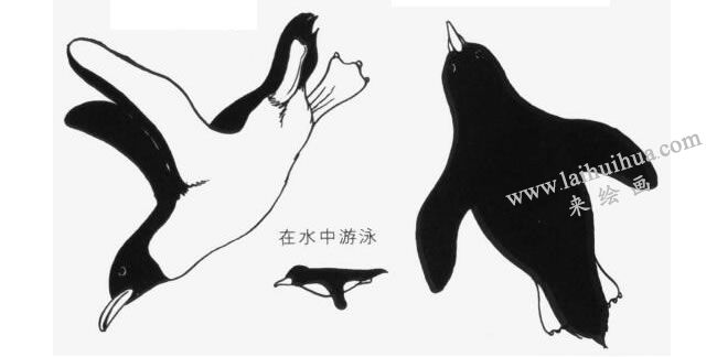 在水中游泳的企鵝卡通畫法