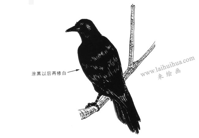 涂黑再修白的烏鴉卡通畫