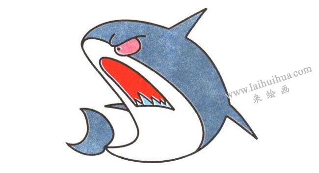 鯊魚卡通畫法步驟04