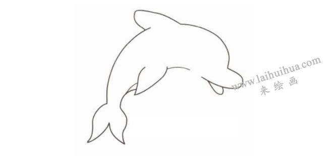海豚卡通畫法步驟02
