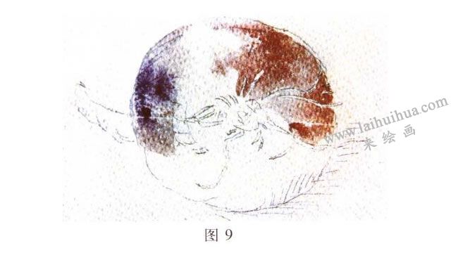 洋蔥水彩畫寫生步驟02
