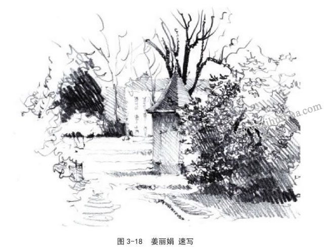 姜麗娟 動(dòng)植物風(fēng)景速寫
