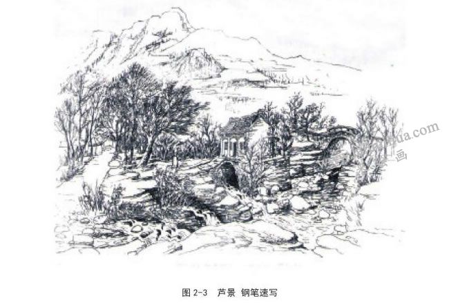 蘆景  鋼筆風景速寫