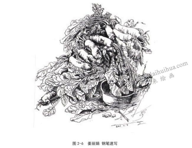 姜麗娟  鋼筆速寫