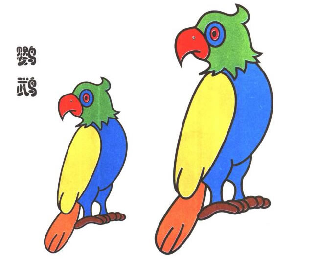 鸚鵡兒童卡通畫