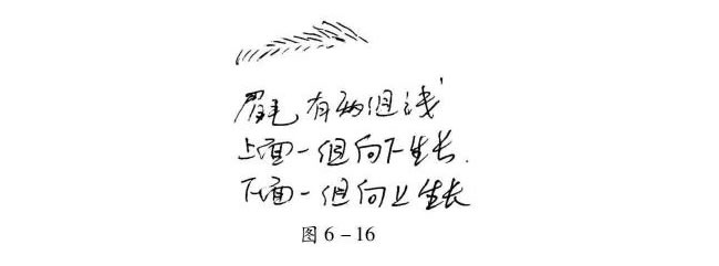 人物眉毛的速寫方法