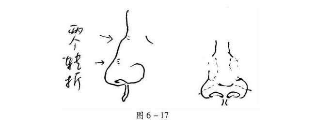 人物鼻子的速寫方法