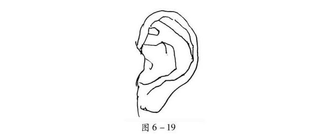 人物耳朵的速寫方法