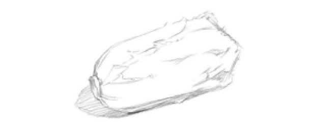 白菜明暗素描繪畫方法步驟03