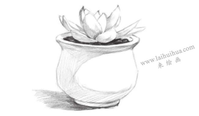 窗臺上的多肉植物素描畫法步驟06