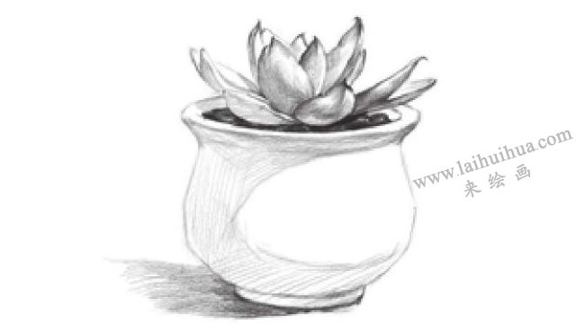 窗臺上的多肉植物素描畫法步驟07