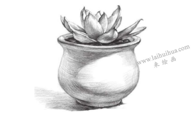 窗臺上的多肉植物素描畫法步驟09