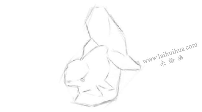 陶瓷金魚素描畫法步驟03