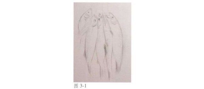 靜物《魚》水彩畫法步驟01