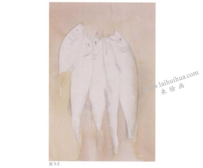 靜物《魚》水彩畫法步驟02