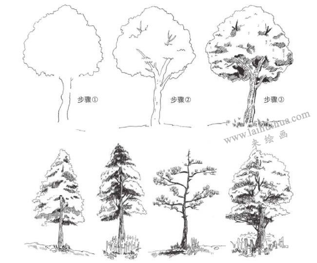 樹葉的速寫畫法