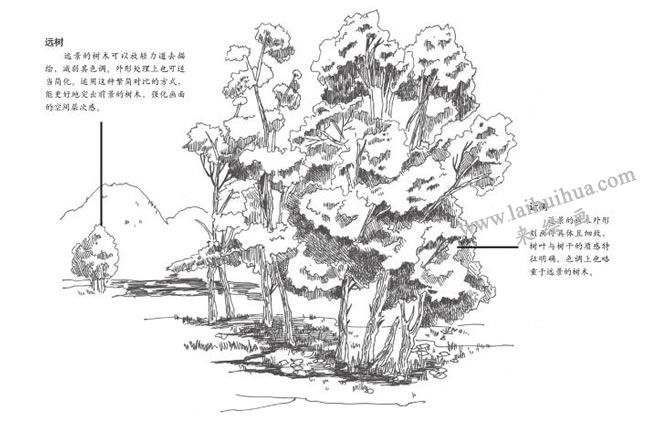 遠樹和近樹速寫畫法