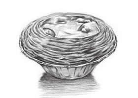 蛋撻的素描畫法步驟