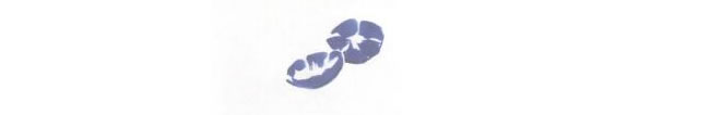 牽?；▋和?huà)法步驟01