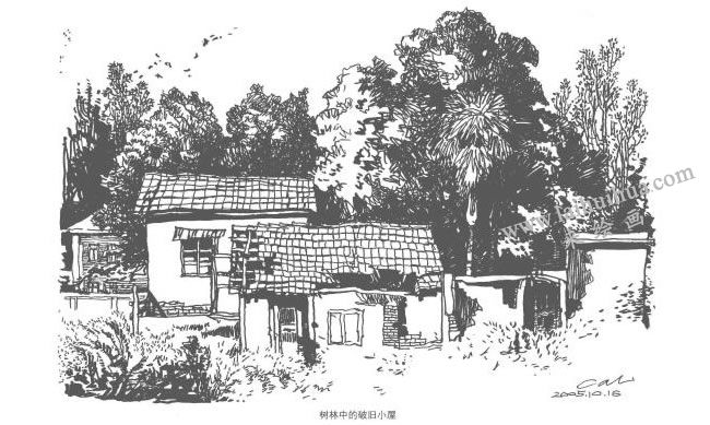 樹林中的破舊小屋鋼筆速寫