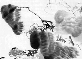 中國(guó)水墨畫的用水方法有哪些？