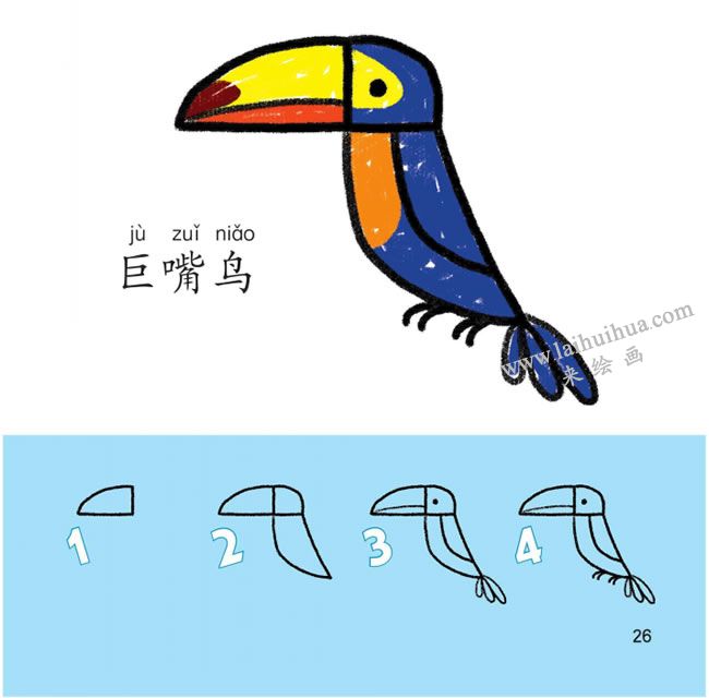 巨嘴鳥(niǎo)幼兒簡(jiǎn)筆畫(huà)法步驟分解圖示
