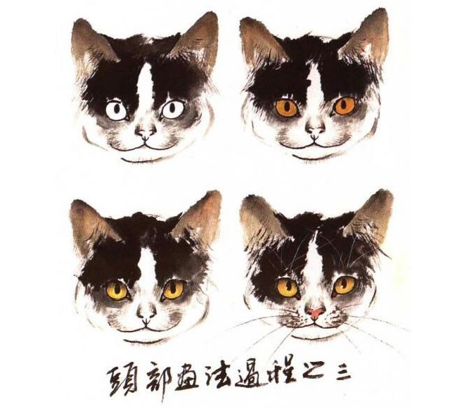 水墨畫貓頭部畫法過程之三