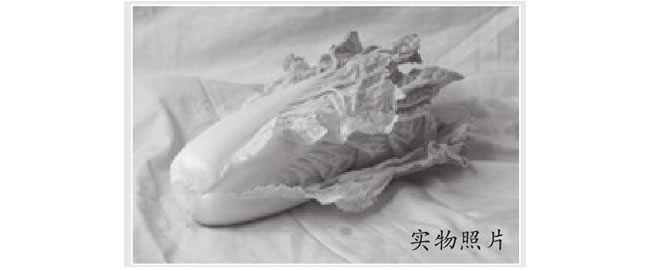 青菜素描畫法（一）