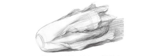 青菜素描畫法步驟02
