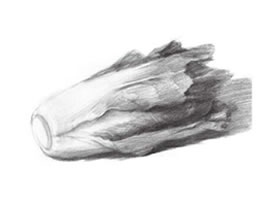 青菜素描畫法（一）
