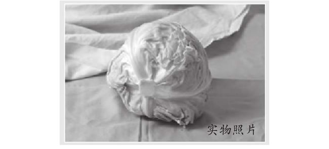 卷心菜素描畫法