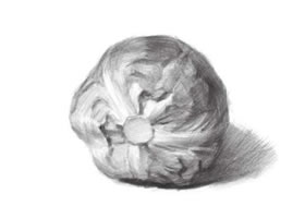 卷心菜素描畫法