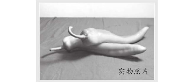 青椒素描畫法（二）