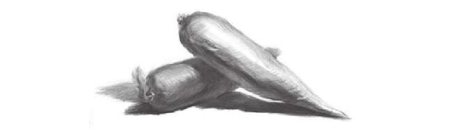 兩個胡蘿卜素描畫法
