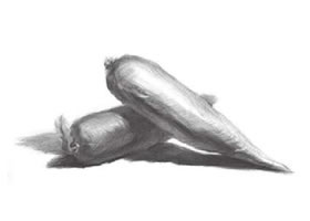 素描胡蘿卜（二）
