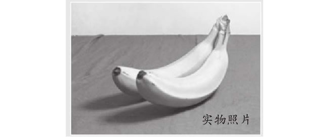 香蕉素描畫法（二）
