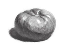 西紅柿素描畫法（二）