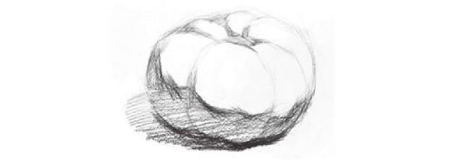 西紅柿素描作畫步驟02