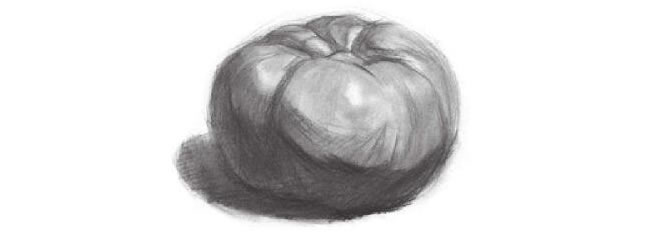 西紅柿素描作畫步驟03