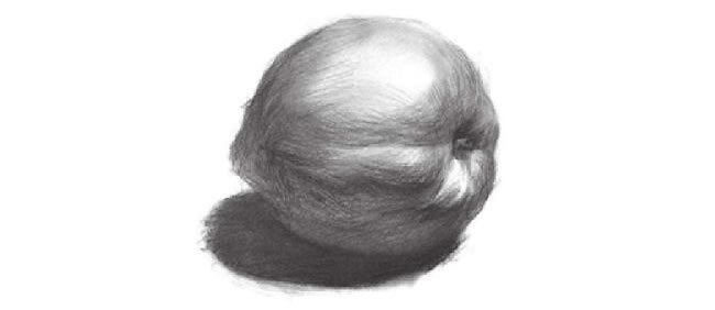油桃的素描畫(huà)