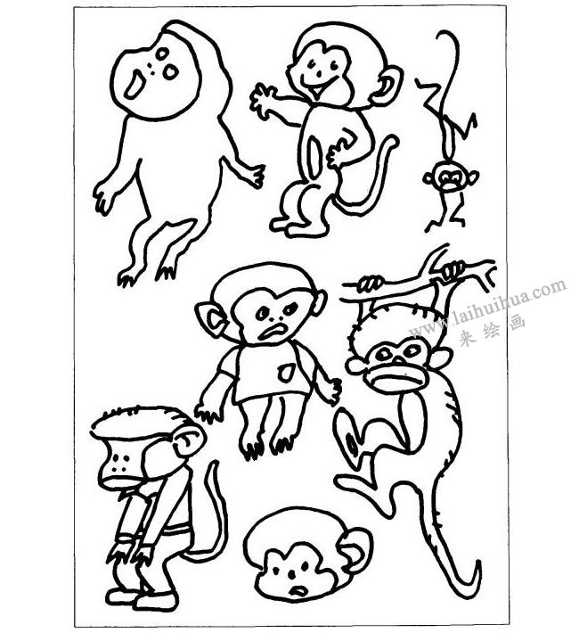 猴子兒童畫