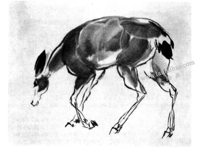鹿的水墨畫(huà)