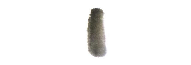 樹(shù)的兒童水墨畫法步驟01