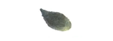 小老鼠兒童水墨畫法步驟01