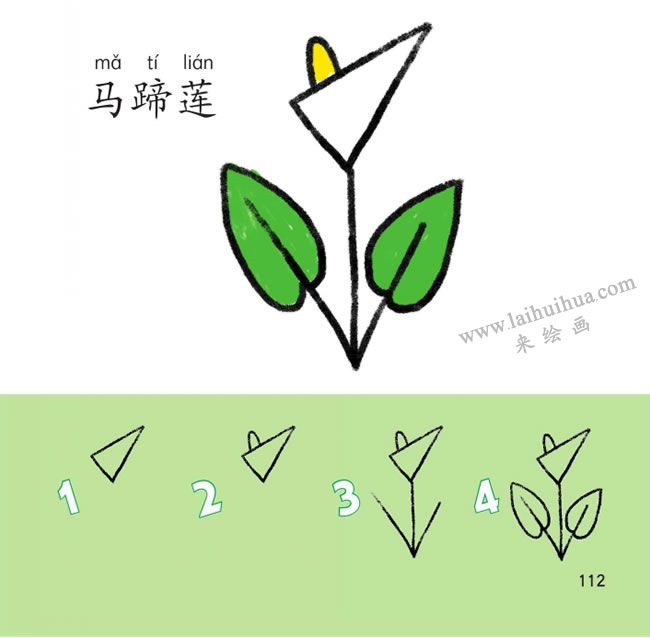 馬蹄蓮幼兒簡筆畫法步驟圖解