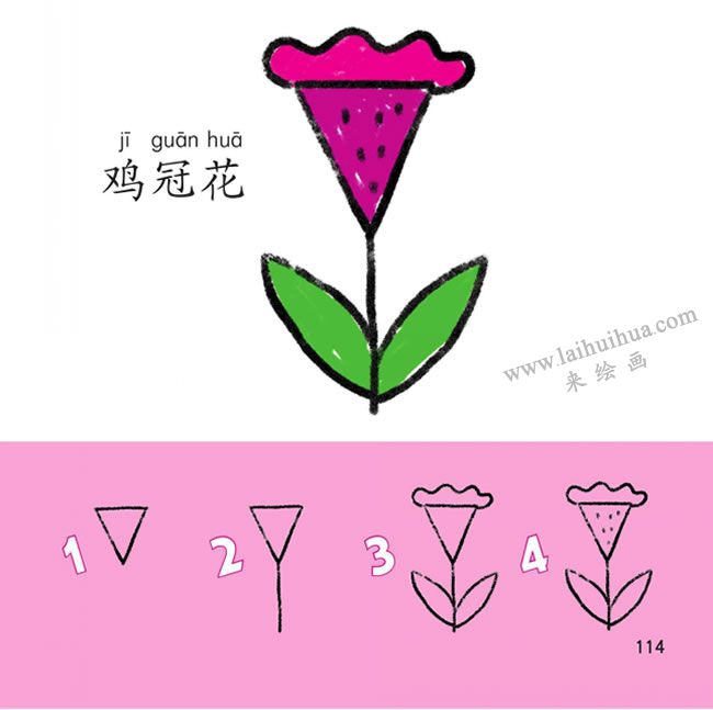 雞冠花幼兒簡(jiǎn)筆畫(huà)法步驟圖解