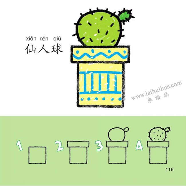 仙人球幼兒簡筆畫法步驟圖解