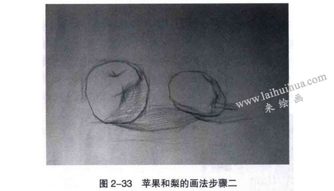 蘋果和梨組合素描畫法步驟02